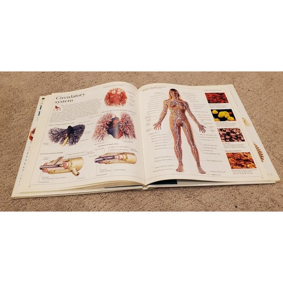 Eyewitness Visual Dictionaries: the Visual Dictionary of the Human Body by DK... - Picture 10 of 14